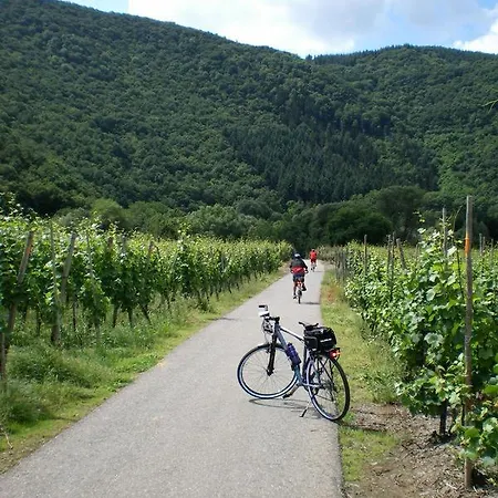 Zur Burg Eltz Appartement