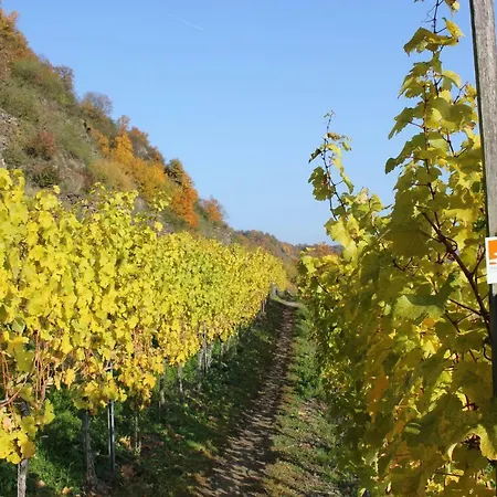 Zur Burg Eltz *