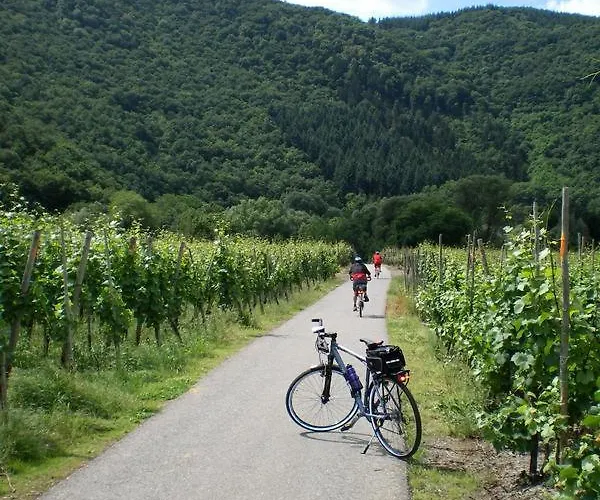 Zur Burg Eltz 아파트