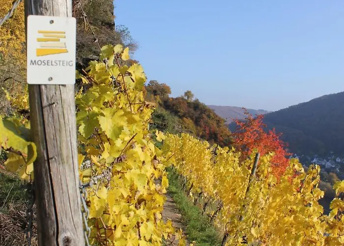 Zur Burg Eltz 아파트 윌솀